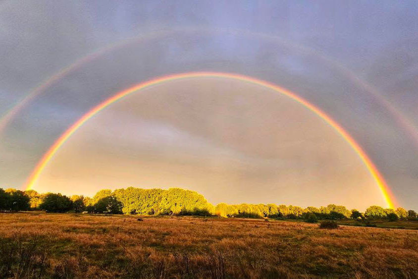 9CF9C79C-A465-4814-B8C4-34EF4176EB0F-Roelie van der Vegt