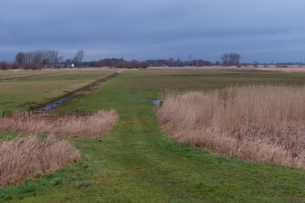 Buitenlanden Langeholte Mark Zekhuis