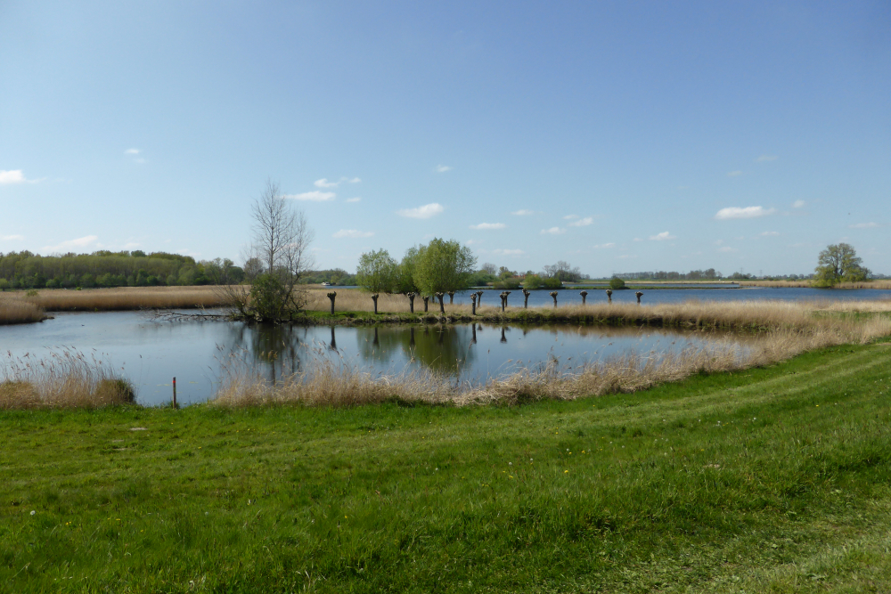 Buitenlanden Langenholte 