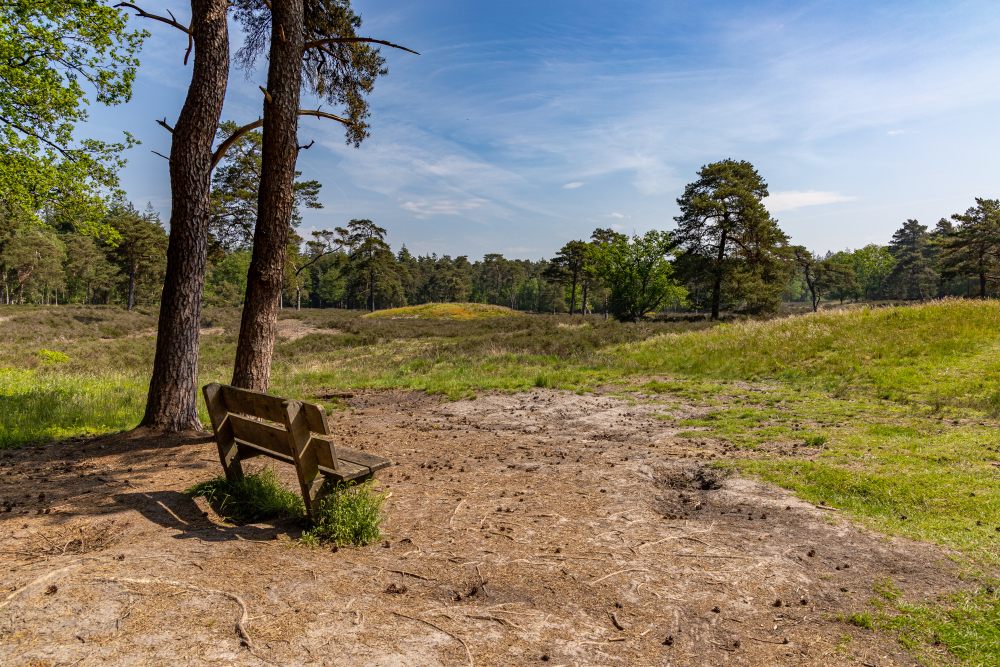 Grafheuvel Steenwijkerland 