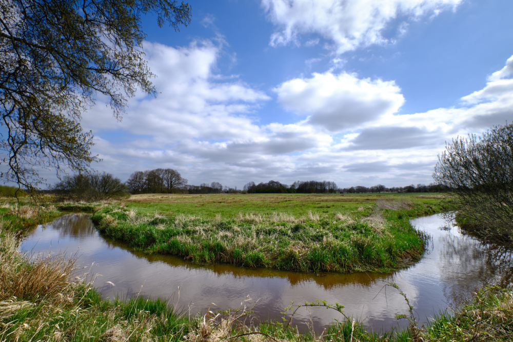 De Reest, Shutterstock