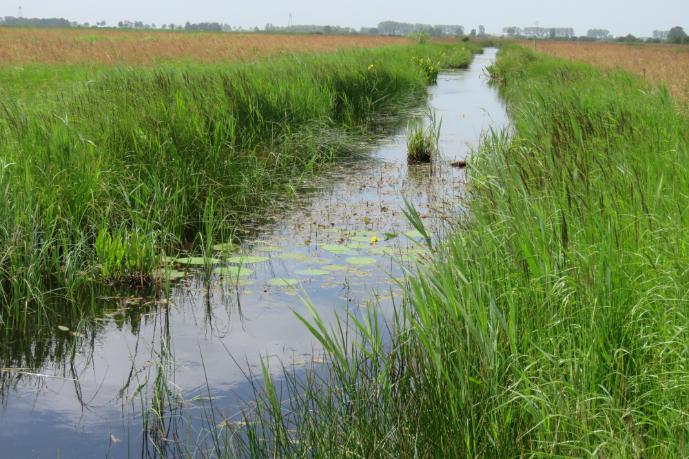 Sloot - Mark Zekhuis