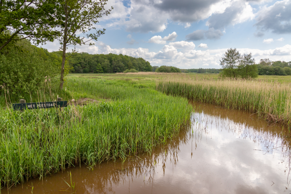 GS, de Wheem Reestdal-16