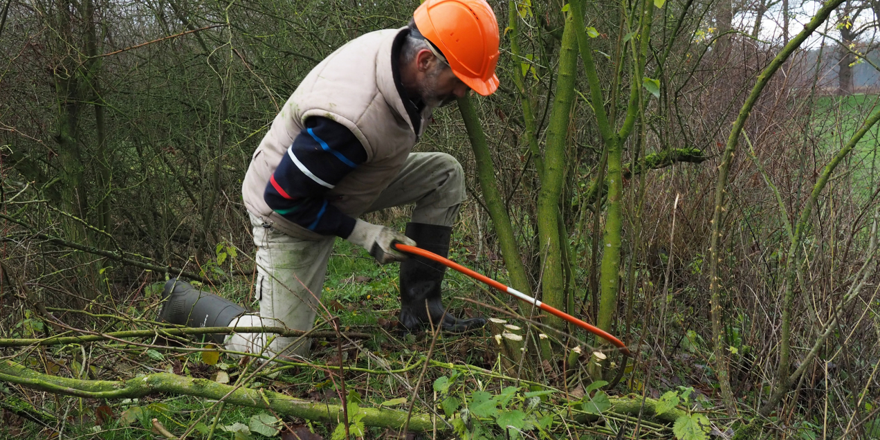 Veilig zagen, Nico Kloek