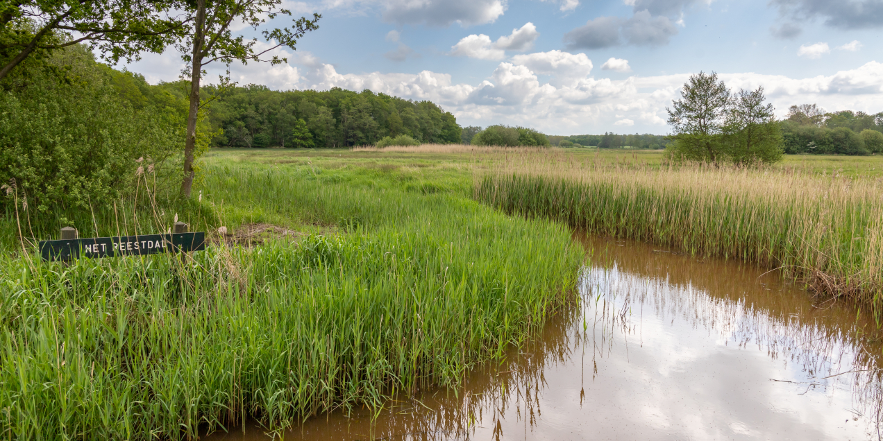 GS, de Wheem Reestdal-16