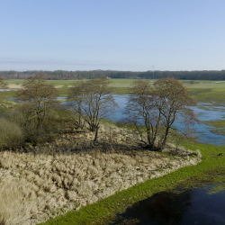 Foto Vledders en Leijerhooilande