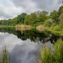 LO14107-Gonny Sleurink