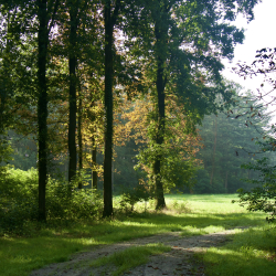 Oosterveld 1 - Mieke Scharloo