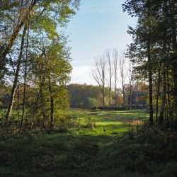 NKL Vaneker Enschede Herfst (22)