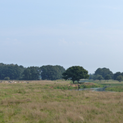 LO07637-Mark Zekhuis