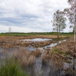 NKL Aamsveen juli 2026 (14)