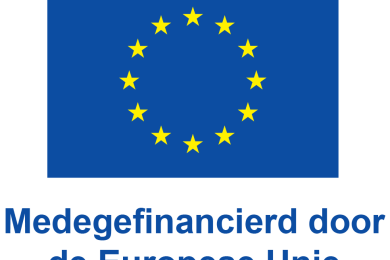 NL-V-Medegefinancierd-door-de-Europese-Unie_POS