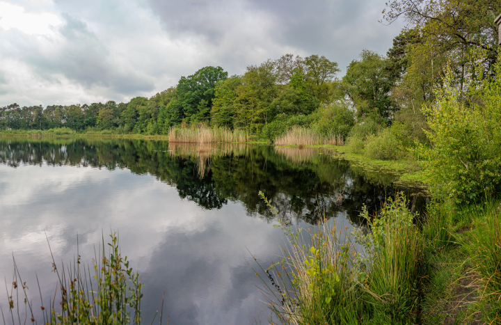 LO14107-Gonny Sleurink