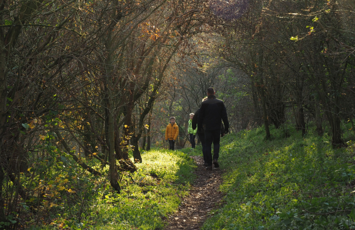 Wandelaars Collendoorn 