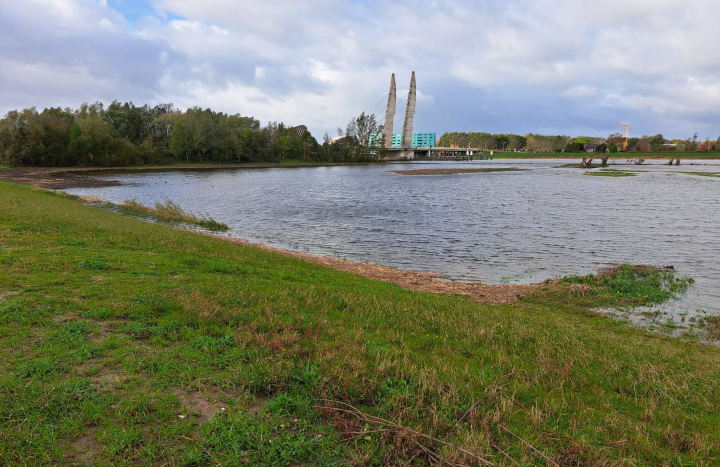 WhatsApp Image 2025-10-29 at 10.40.15 (2)