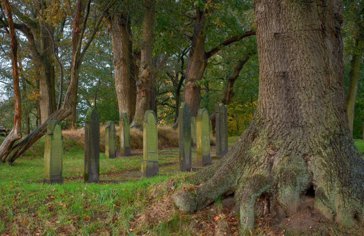 Joodse begraafplaats op de Kuiperberg
