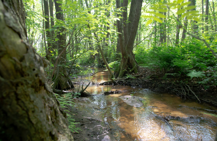 De Mosbeek, Gerard Berendsen