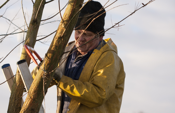 vrijwilligerswerk, Willem Heijdeman