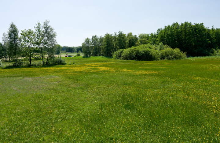 Brongebied Dal van de Mosbeek, Michiel Pothoff