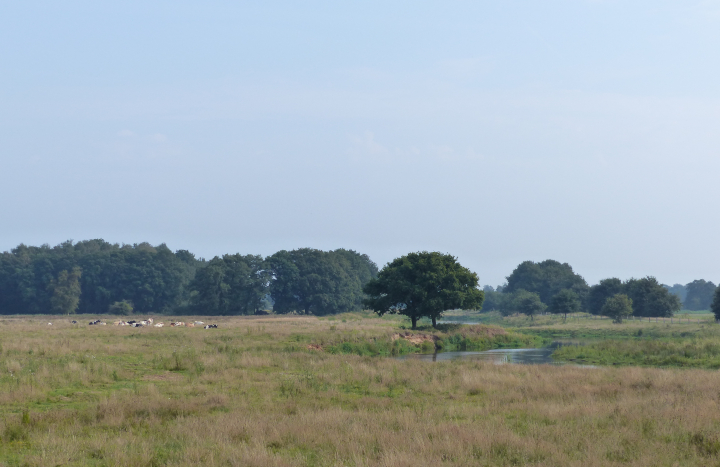 LO07637-Mark Zekhuis