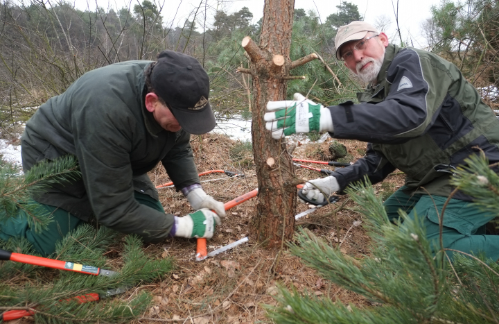 Mentor helpt bij zagen op de heide