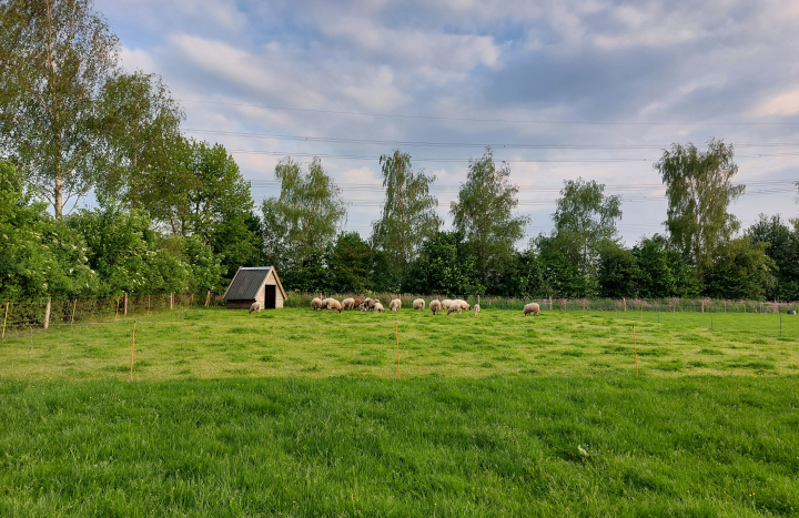 Weiland en houtwal breed