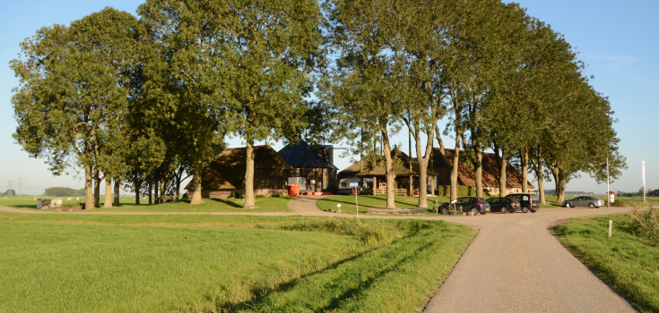 Erf 29, Kampereiland, Nico Kloek