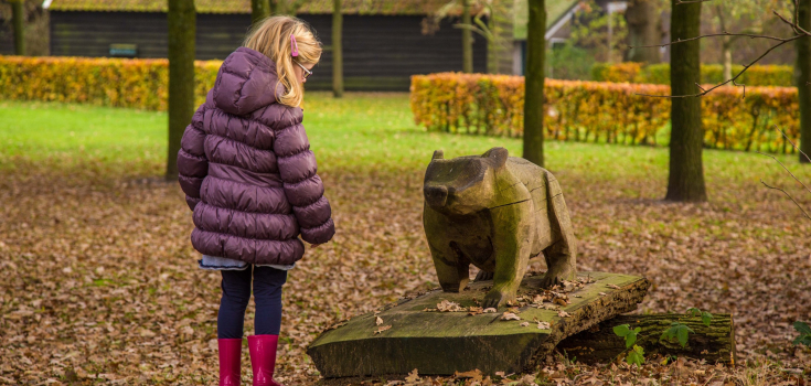 Bas de Daspad, Bennink fotografie