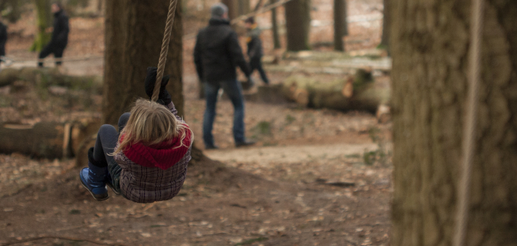 speelbos Lemelerberg 