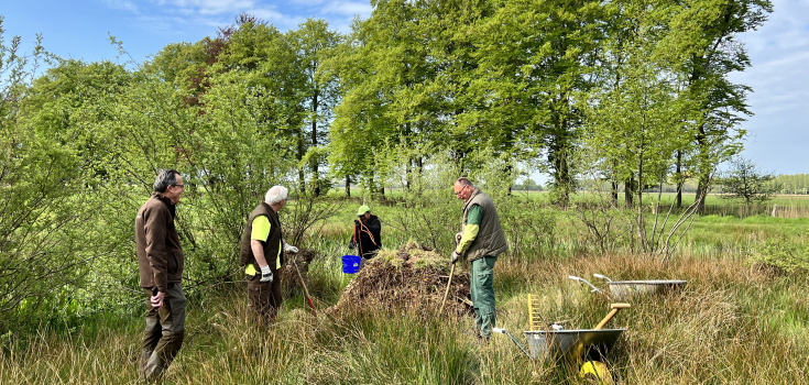 Broeihoop maken voor de ringslang