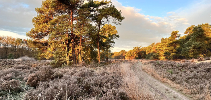 Unknown-5-Mieke Scharloo