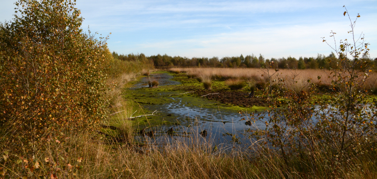 Hoogveen Vriezenveen