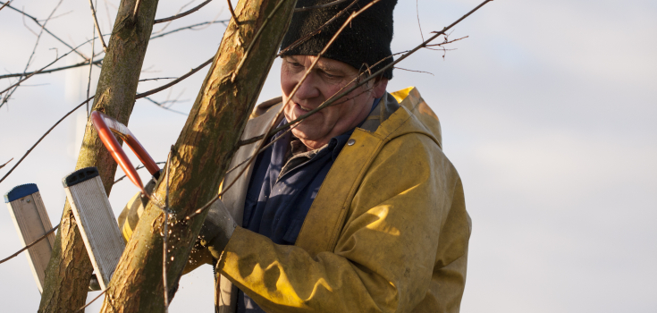 vrijwilligerswerk, Willem Heijdeman