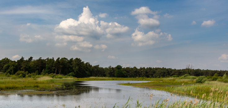 Vecht, Gonny Sleurink