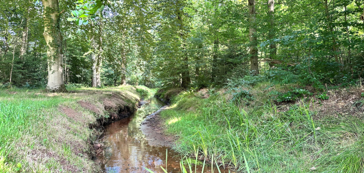 Het Oosterveld, Hesbeek