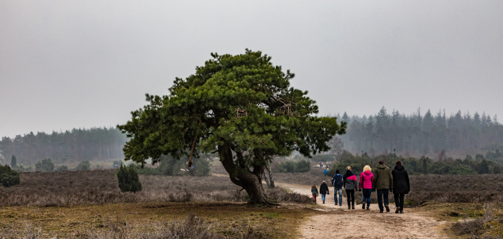 Stuwwallandschap Lemelerberg, Henny de Joode