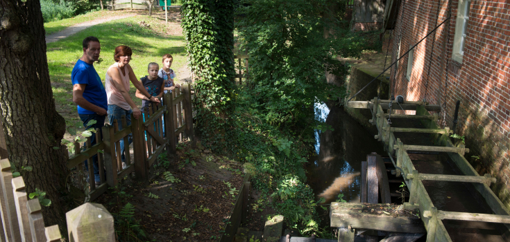 Rad Frans, Cees Elzenga