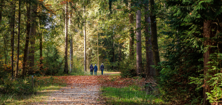 De herfst is begonnen