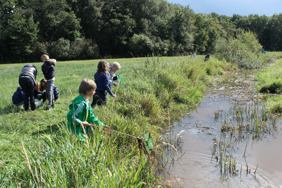 LO094361600 Jan Dijkema