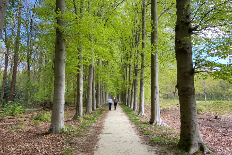 Lunchwandeling op de Horte