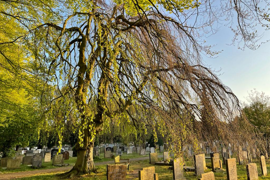 Treurbeuk, begraafplaats Bergklooster