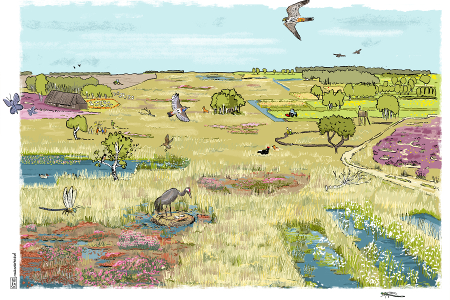 LO_hoogveenlandschap zonder tekst_30082021