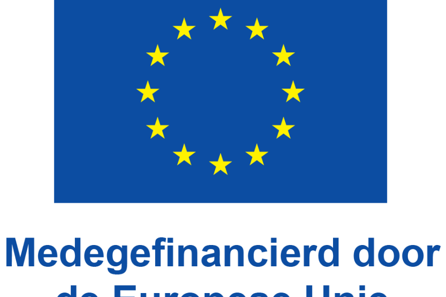 NL-V-Medegefinancierd-door-de-Europese-Unie_POS