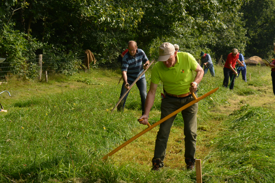 NK maaien met de zeis 1 (6)