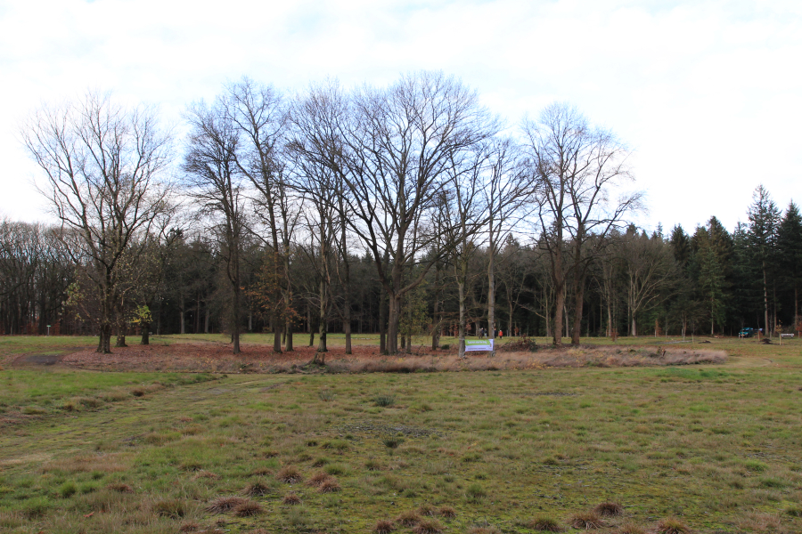 LO19927-Hans Kamerling