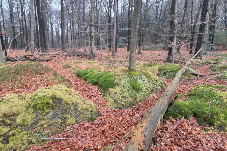 Rabatten op de Lonnekerberg 