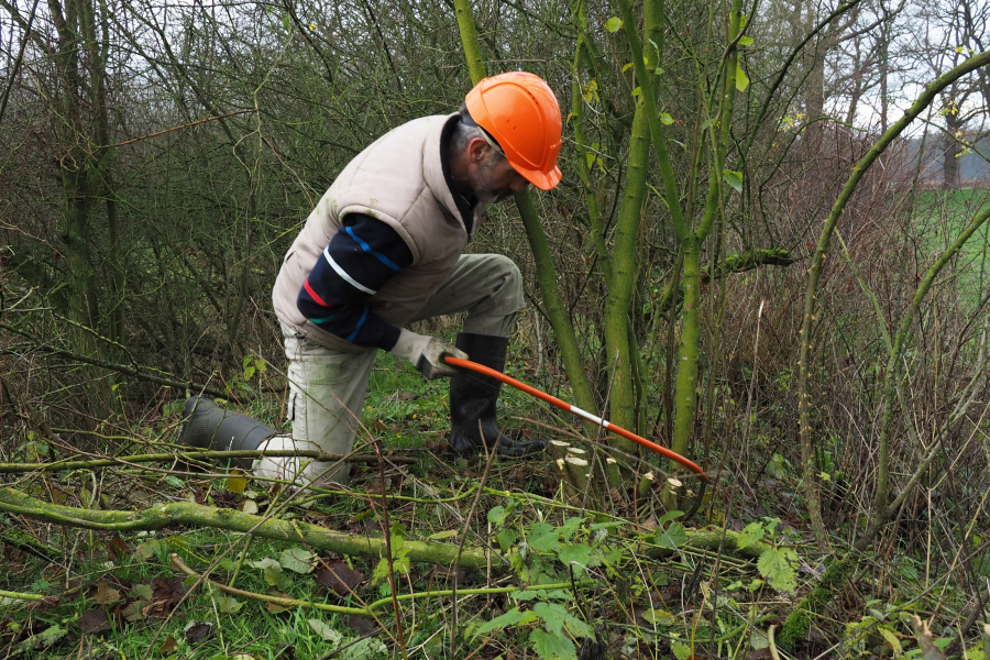 Veilig zagen, Nico Kloek