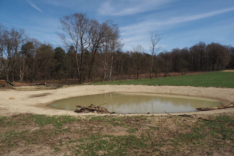 Nieuwe poel Manderheide