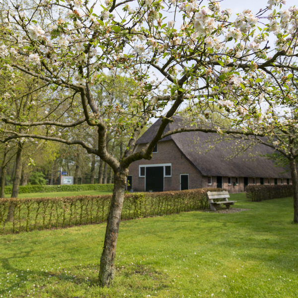 Bezoekerscentrum de Wheem