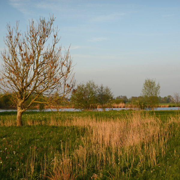  Buitenlanden Langenholte